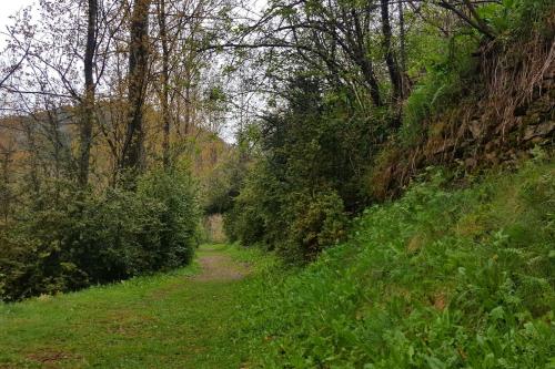 a dirt trail with trees on the side of a hill at Les Forques de'n Pep in Toses