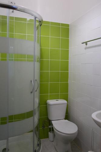 a green bathroom with a toilet and a sink at Hostel das Flores in Senhora da Hora