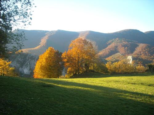 a green field with trees and mountains in the background at Goiko-Benta Ostatua in Oñate
