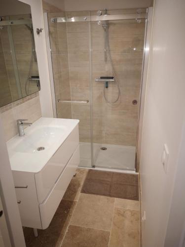 une salle de bain avec une douche et un lavabo et une douche dans l'établissement Gîte Madeleine, à Saint-Nazaire-dʼAude