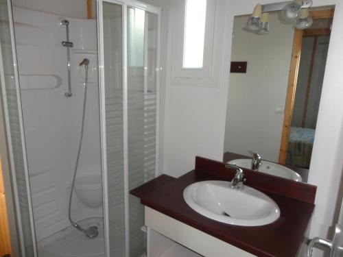 ein Bad mit einem Waschbecken und einer Dusche in der Unterkunft clos du celine in Castillonnès