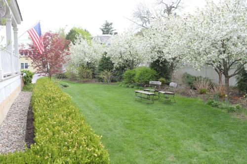 Κήπος έξω από το The Springwater Bed and Breakfast