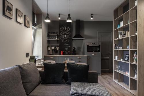 S7 Apartment في ريغا: غرفة معيشة مع أريكة ومطبخ