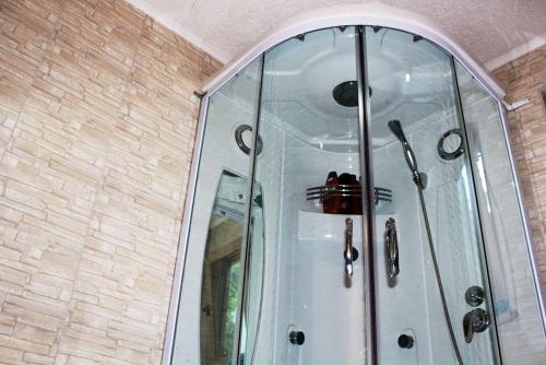 ducha con puerta de cristal y espejo en Triangle Woodhouse, en Plav