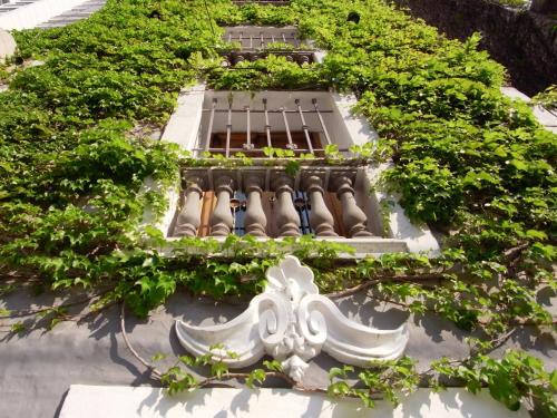 ein Gebäude mit grünen Pflanzen nebeneinander in der Unterkunft Le Petit Palais in Buenos Aires