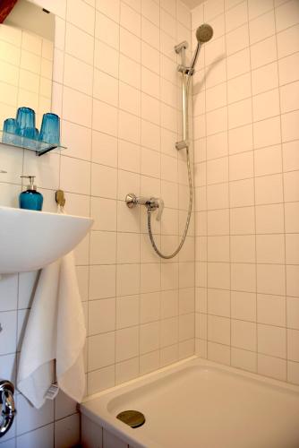 a bathroom with a shower and a sink and a tub at Ferienhof Uckermark am Oberuckersee in Suckow