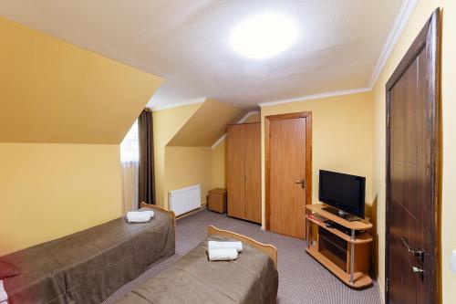 a hotel room with a bed and a television at Pigy in Tatariv