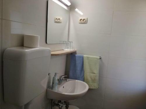 bagno con servizi igienici, lavandino e specchio di Antun Mozara Family House a Slano