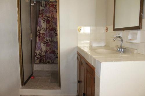 y baño con ducha, lavamanos y ducha. en Zona Romántica Casa Las Magnolias, en Puerto Vallarta