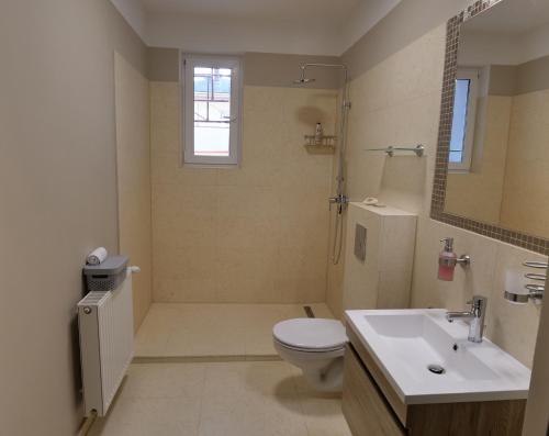 a bathroom with a toilet and a shower and a sink at Anna Villa Füred Boutique Rooms in Balatonfüred