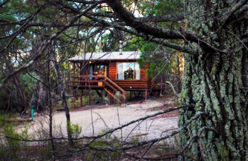 a cabin in the woods with a tree at Granite Belt Retreat and Brewery in Stanthorpe
