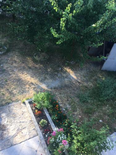 a garden with some flowers in a yard at Honey Farm House in Virpazar