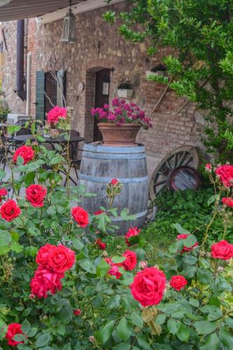 B&B il mio Casale – Photos 2