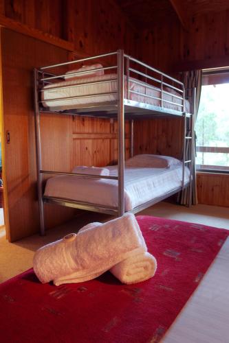 a bedroom with two bunk beds with a towel on the floor at Granite Belt Retreat and Brewery in Stanthorpe