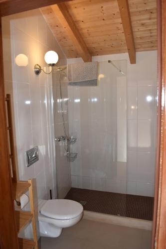 un bagno con doccia, wc e lavandino di Quinta David ad Alvor