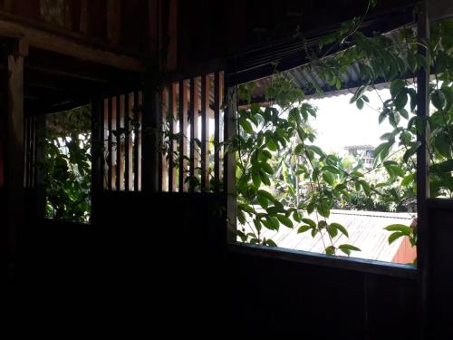 an open window with a view of a tree at Posada El Acuario in Bahía Solano