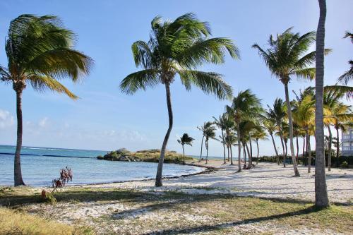 a group of palm trees on a beach with the ocean at BlueDreamVacances Marines IV in Saint-François