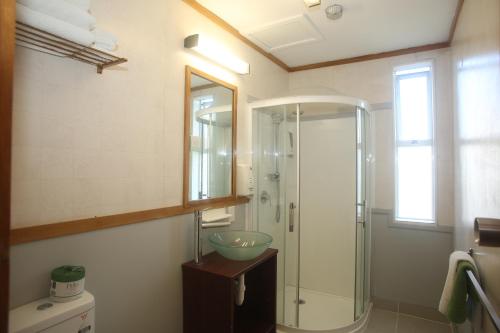 y baño con ducha acristalada y lavamanos. en The Grand Hotel Wanganui, en Whanganui
