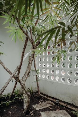 Zahrada ubytování Botanist Lab Minihotel by CIRCADIAN