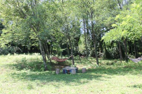 a hammock in the middle of a field with trees at Villa Edemi in Tskaltubo