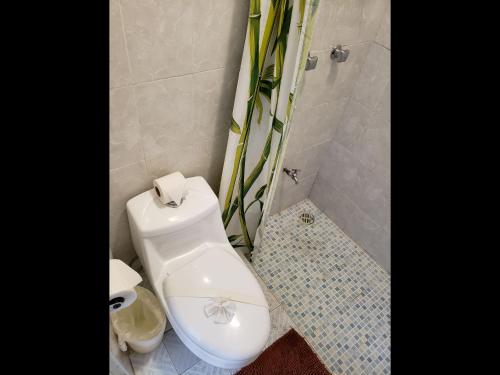 a white toilet sitting next to a bathroom sink at Posada Paso Del Sol in Isla Mujeres