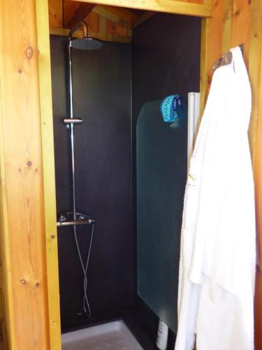 a shower in a room with a black wall at Villa piscine chauffée & spa sur le Bassin d Arcachon - proche plage et océan in Lanton