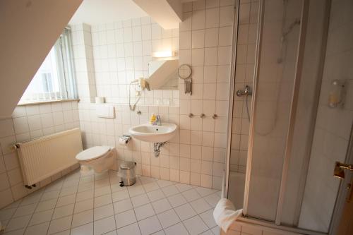 a bathroom with a toilet and a sink and a shower at Tanzbuche in Friedrichroda