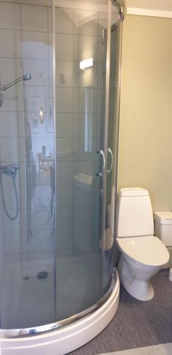 La salle de bains est pourvue de toilettes et d'une douche en verre. dans l'établissement Oppdal Alpintun Stølen ski in - ski out, à Oppdal