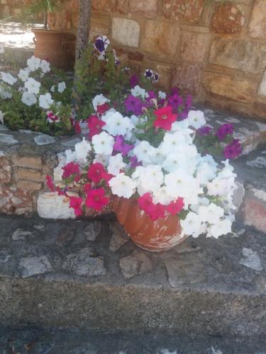 a pot of flowers sitting next to a brick wall at Peaceful house near Airport in Pikérmion
