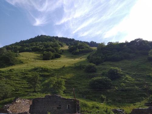 an old building on a grassy hill with trees at Raul Lushnu Darbaz in Mestia