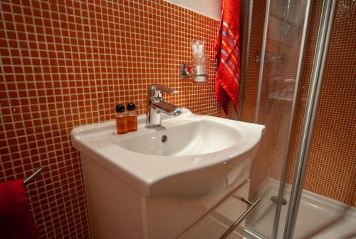 a bathroom with a sink and a shower at Mountain Loft in Tarvisio