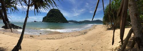 a beach with a rock in the water and palm trees at Red island villas in Banyuwangi