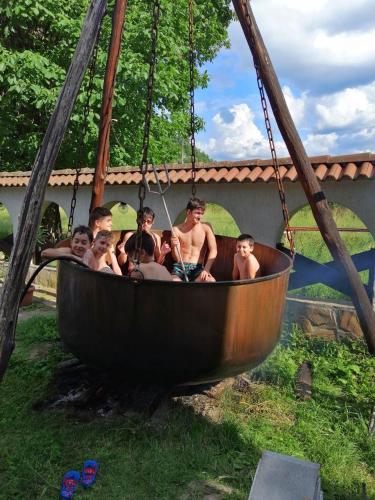 Gallery image of Family Hotel Virgin in Ribarica