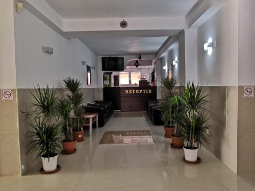 Afbeelding uit fotogalerij van Hotel Prestige in Costinesti