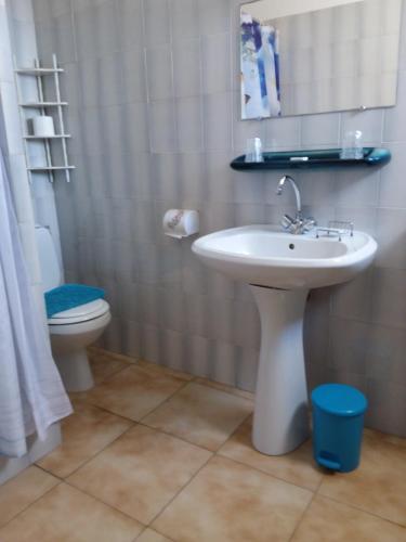 une salle de bain avec un lavabo et des toilettes dans l'établissement Chambre d hôtes chez raymonde et sandrine, à Luri