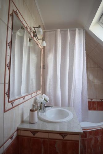 y baño con lavabo y espejo. en Villa Relax KomfortLak en Gárdony