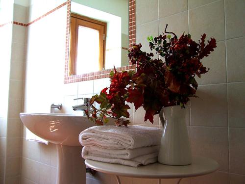 un bagno con lavandino e vaso con fiori di Agriturismo Ca' del Sartu a Bobbio
