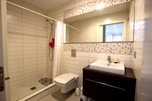 ein Bad mit einem WC, einem Waschbecken und einer Dusche in der Unterkunft Apartamento 10 Marjal Playa Centro de Guardamar in Guardamar del Segura