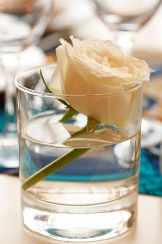 a rose in a glass vase with water at Hotel Presidente Luanda in Luanda