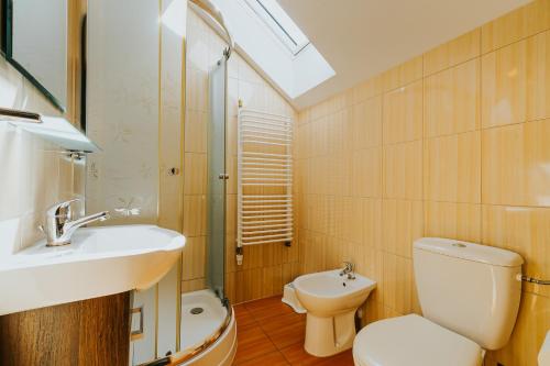 ein Bad mit einem Waschbecken, einem WC und einer Dusche in der Unterkunft Apartament Wega in Władysławowo