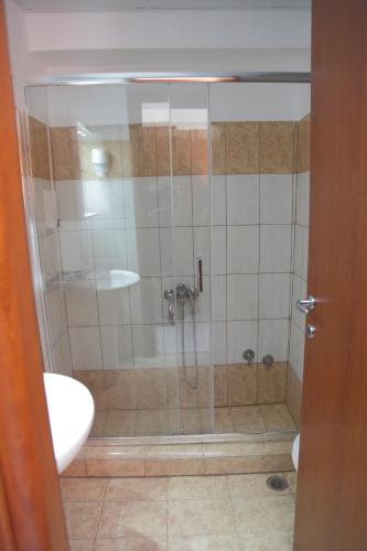a shower in a bathroom with a glass door at Evvoiki Akti Hotel in Politika