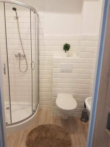 y baño con ducha, aseo y lavamanos. en Apartament przy plaży, en Mikołajki