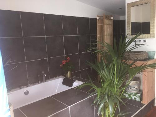 La salle de bains est pourvue d'une baignoire blanche et d'une plante. dans l'établissement Insolite Bois Cailloux avec Spa, à Saint-Remèze