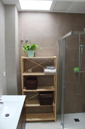 La salle de bains est pourvue d'un lavabo et d'une douche. dans l'établissement Vivienda con parking en el centro de Cartagena., à Carthagène