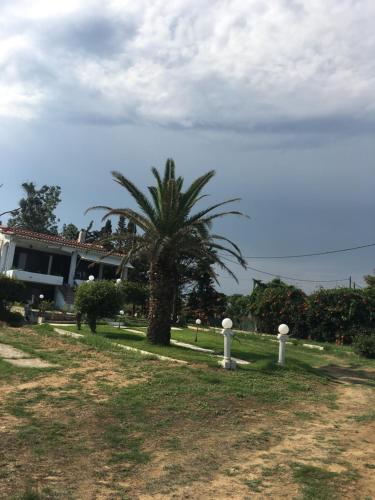 SAINT IOANNIS APARTMENTS ON THE BEACH