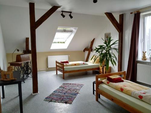 a living room with two beds and a skylight at Kastanienhof Holländer in Schlotfeld