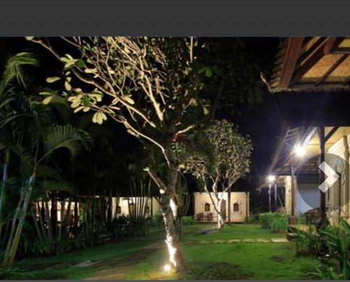 a tree in the middle of a yard at night at Alamanda Bingin in Uluwatu