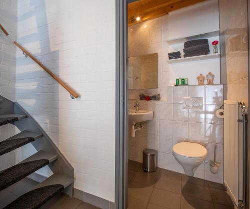 a bathroom with a toilet and a sink at B&B Woonboerderij Peters in Horn