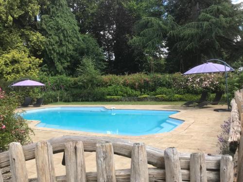 a swimming pool in a yard with a wooden fence at Hotel Le Domaine De La Ferriere in Buléon