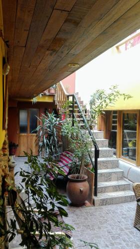 a patio with a bunch of plants and stairs at B&B Chayana Wasi in Ollantaytambo